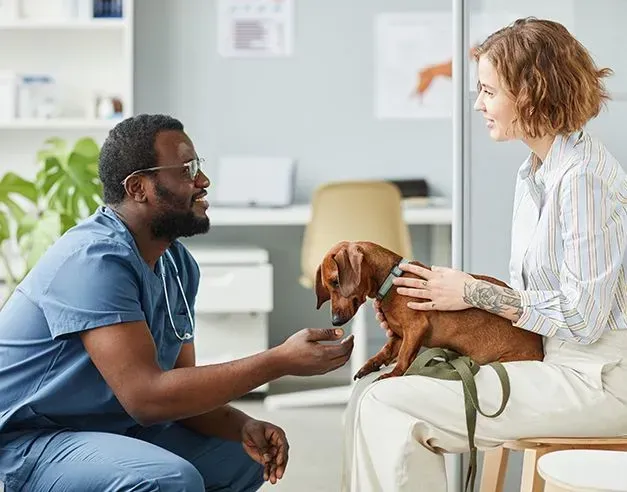 Healthy Pet Hospital and Grooming