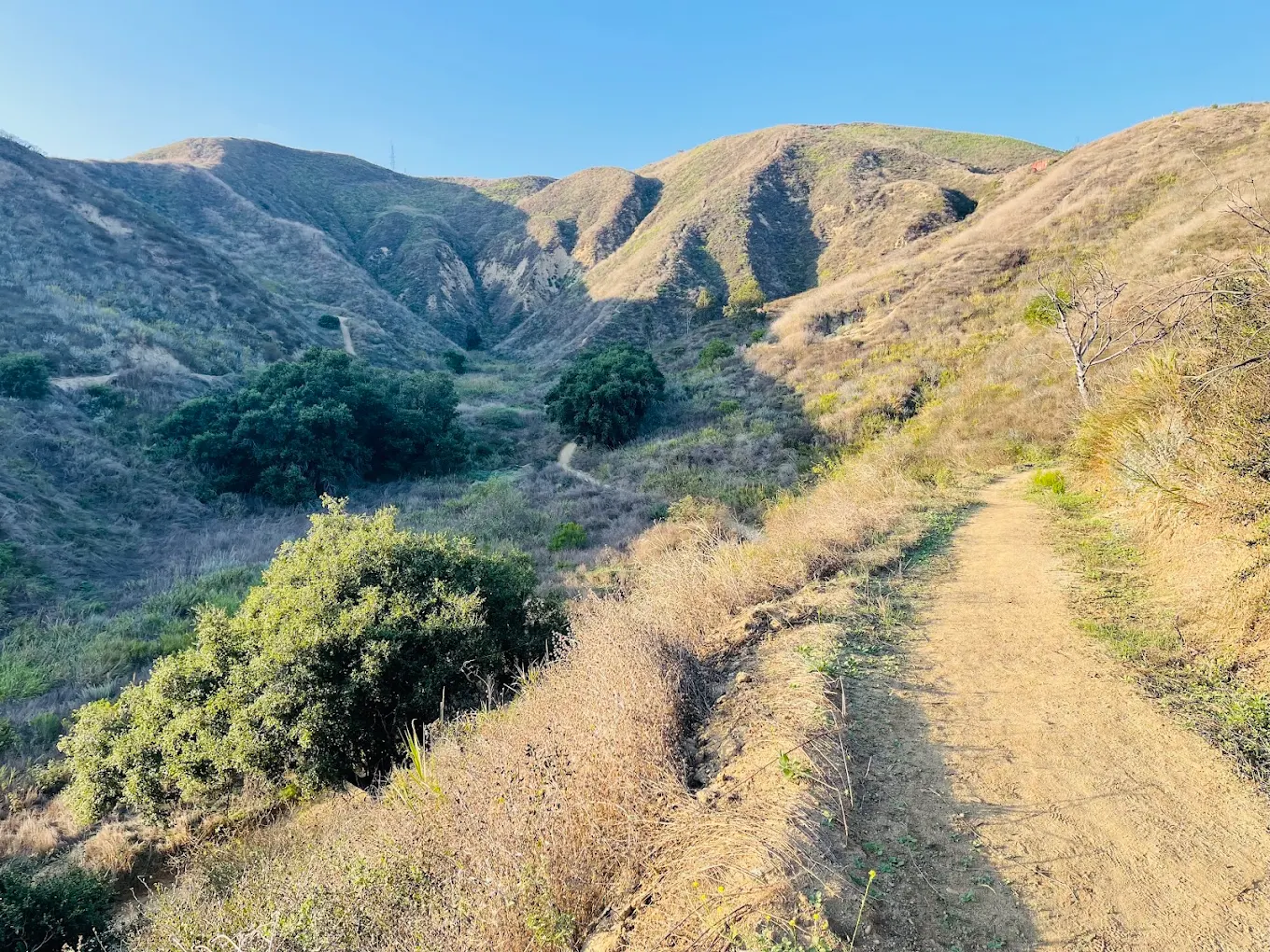 Arroyo Verde Hiking Trails