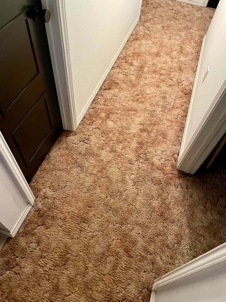 Voogaly Carpet Care