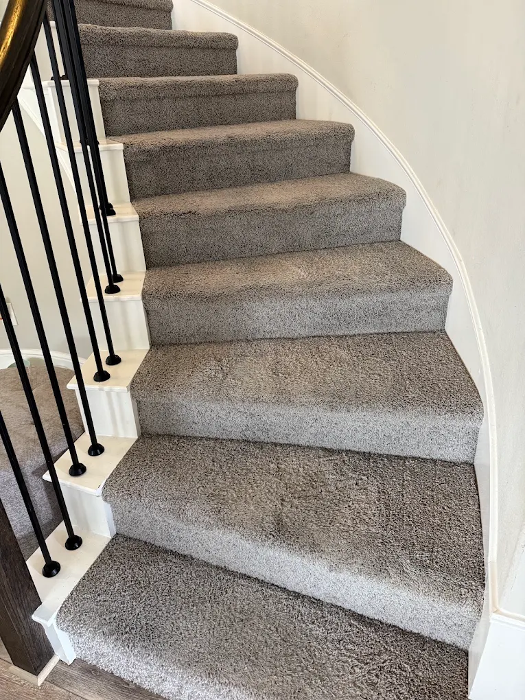 Steam Master Cleaning