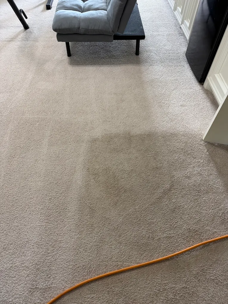 Zerorez Carpet Cleaning