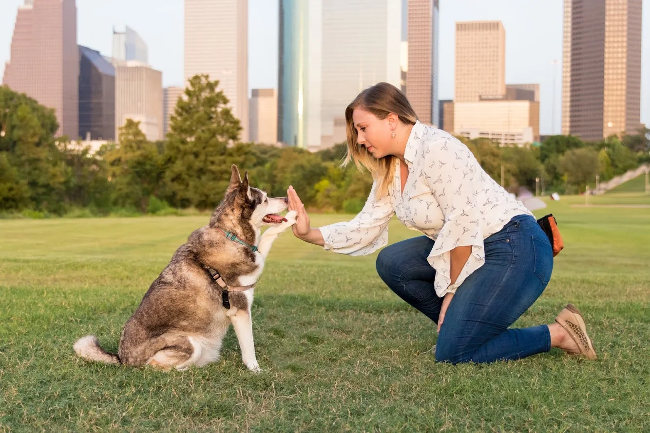 Beyond the Dog, LLC