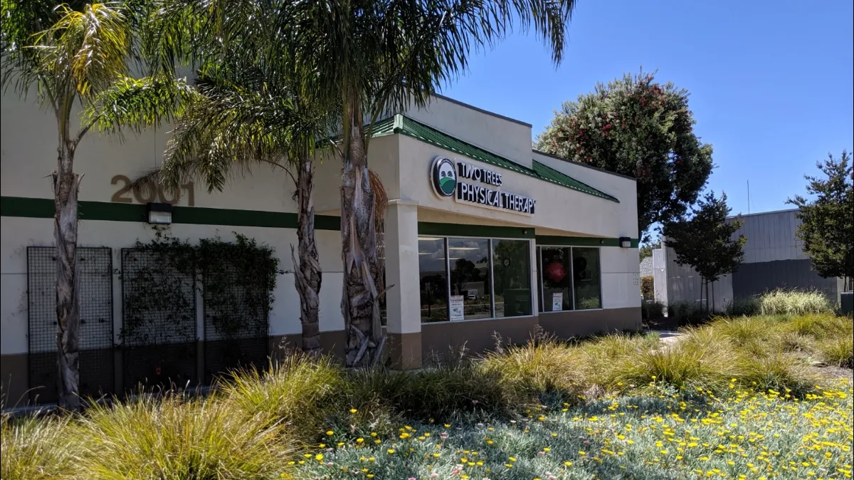 Two Trees Physical Therapy