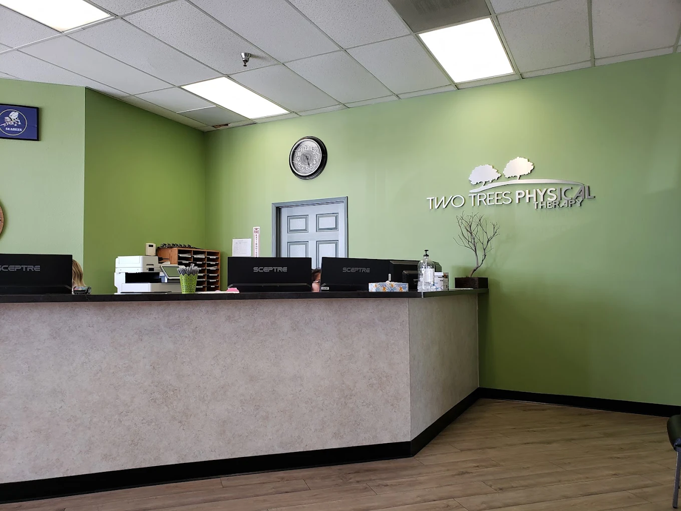 Two Trees Physical Therapy
