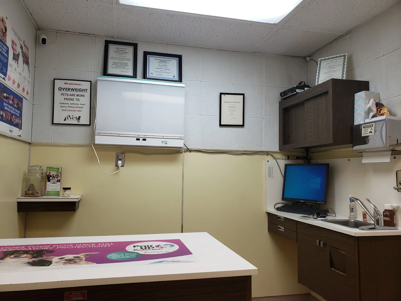 Adobe Animal Hospital