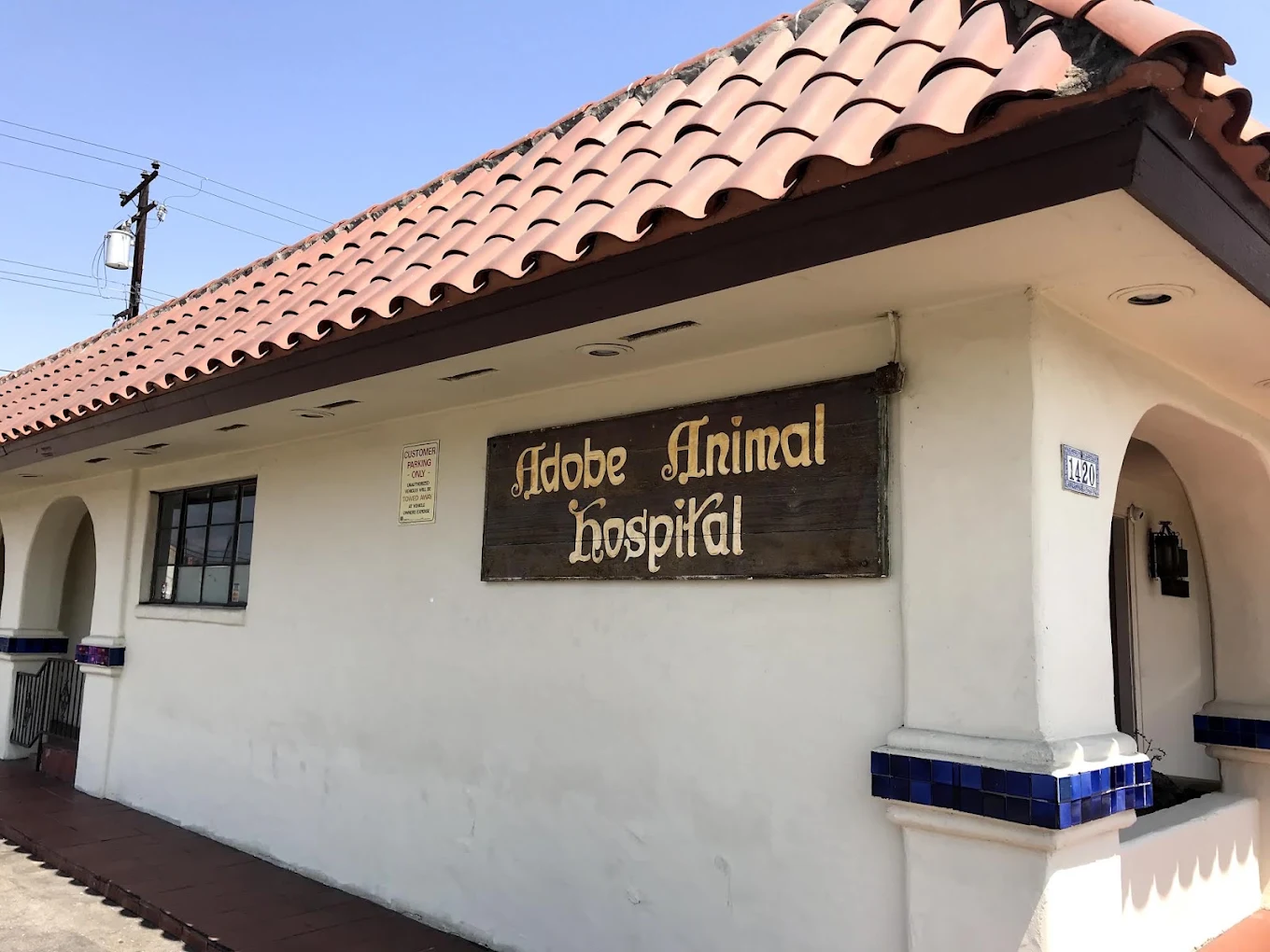 Adobe Animal Hospital