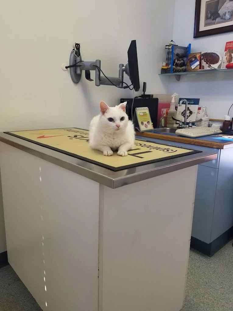 Marina Animal Hospital