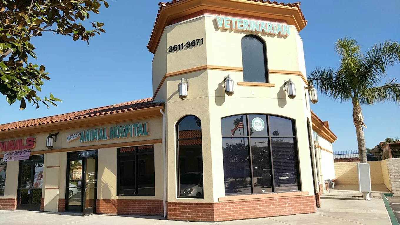 Marina Animal Hospital
