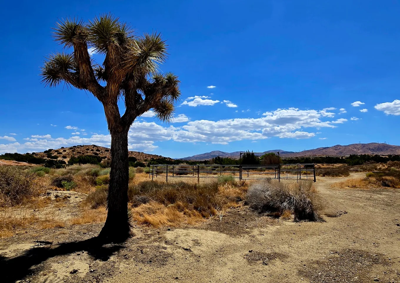 Tejon Park