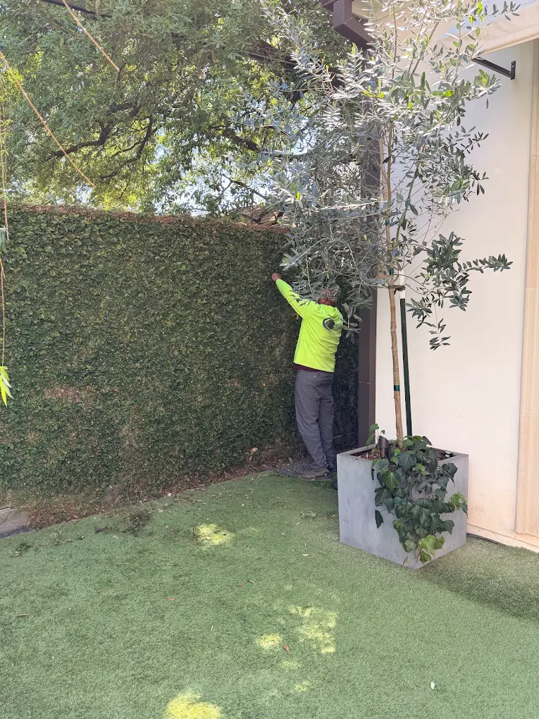 Evergreen Outdoor Services, LLC