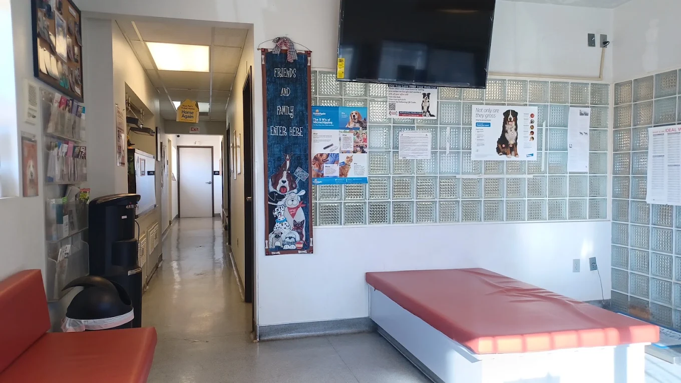 Palmdale Veterinary Hospital