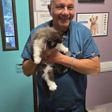 Pet Check Engine Animal Hospital