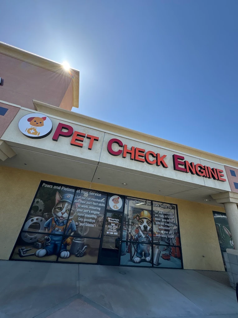 Pet Check Engine Animal Hospital