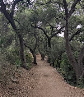 Hahamongna Watershed Park