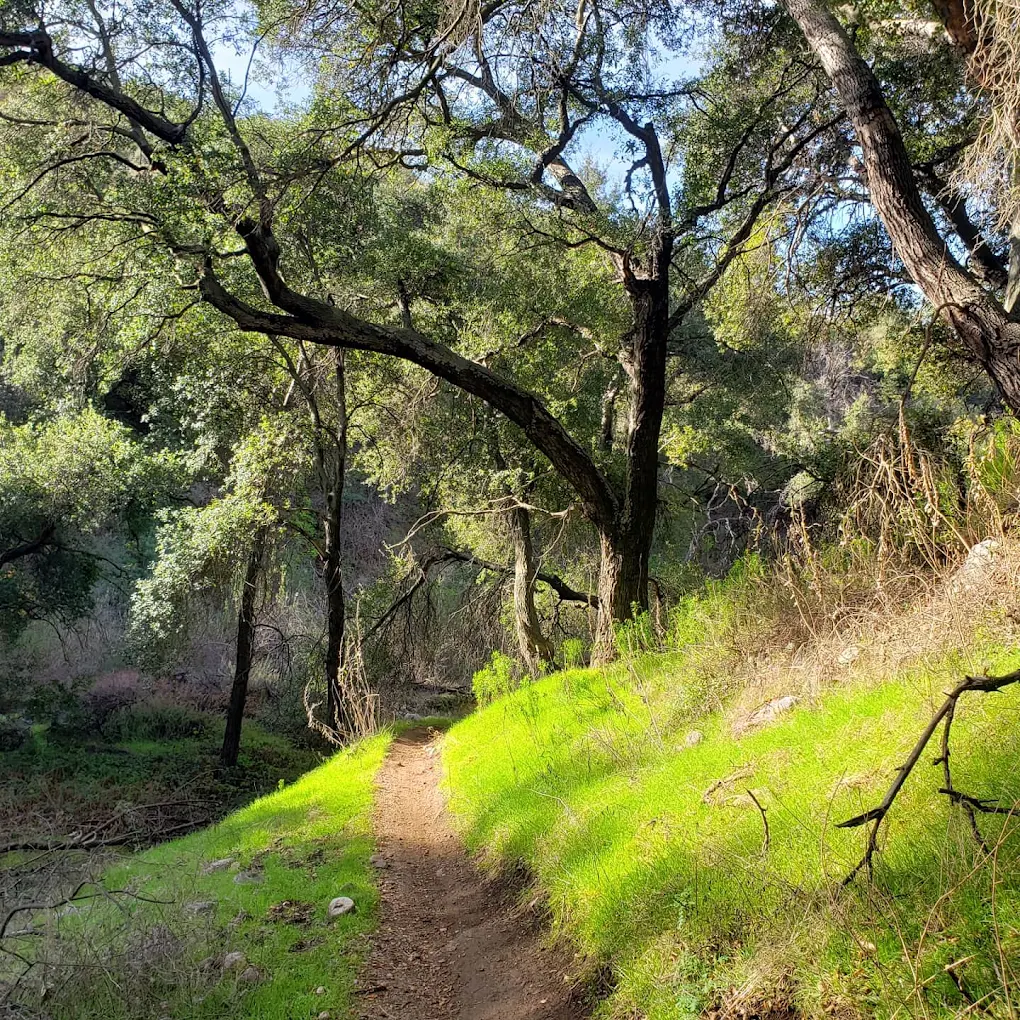 El Prieto Canyon