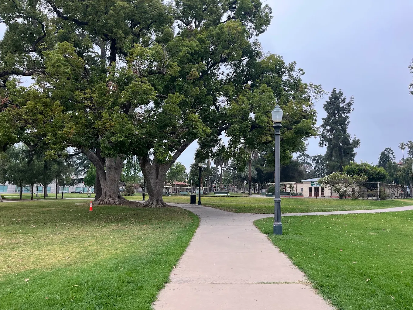 Central Park