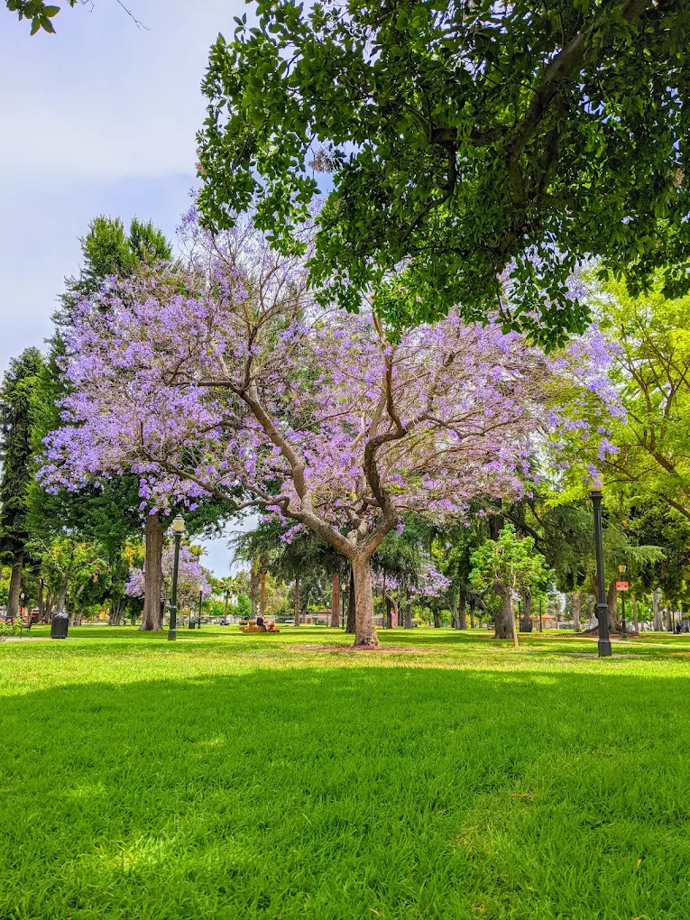 Central Park