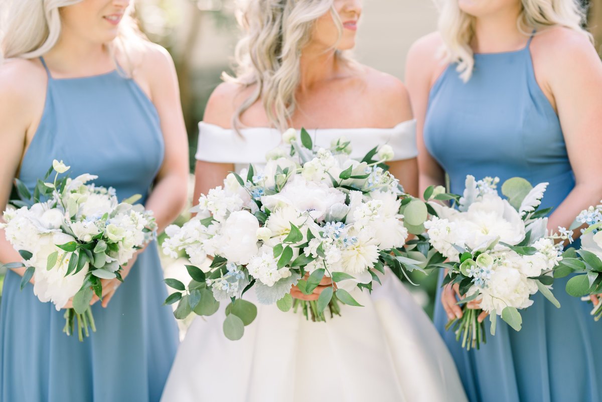Audrey Rose Photography