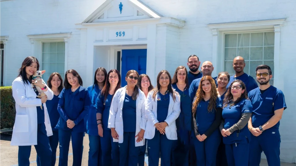 Petsadena Animal Hospital