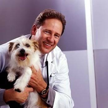 VCA Foothill Veterinary Hospital