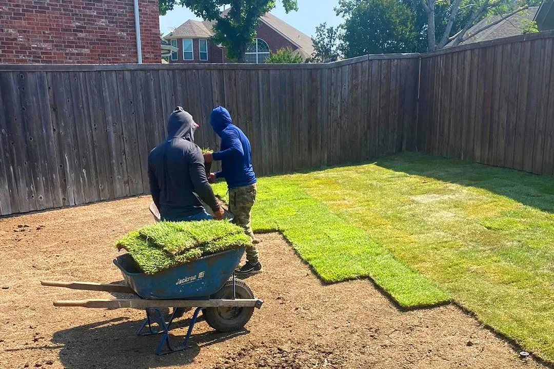 Irving Landscaping