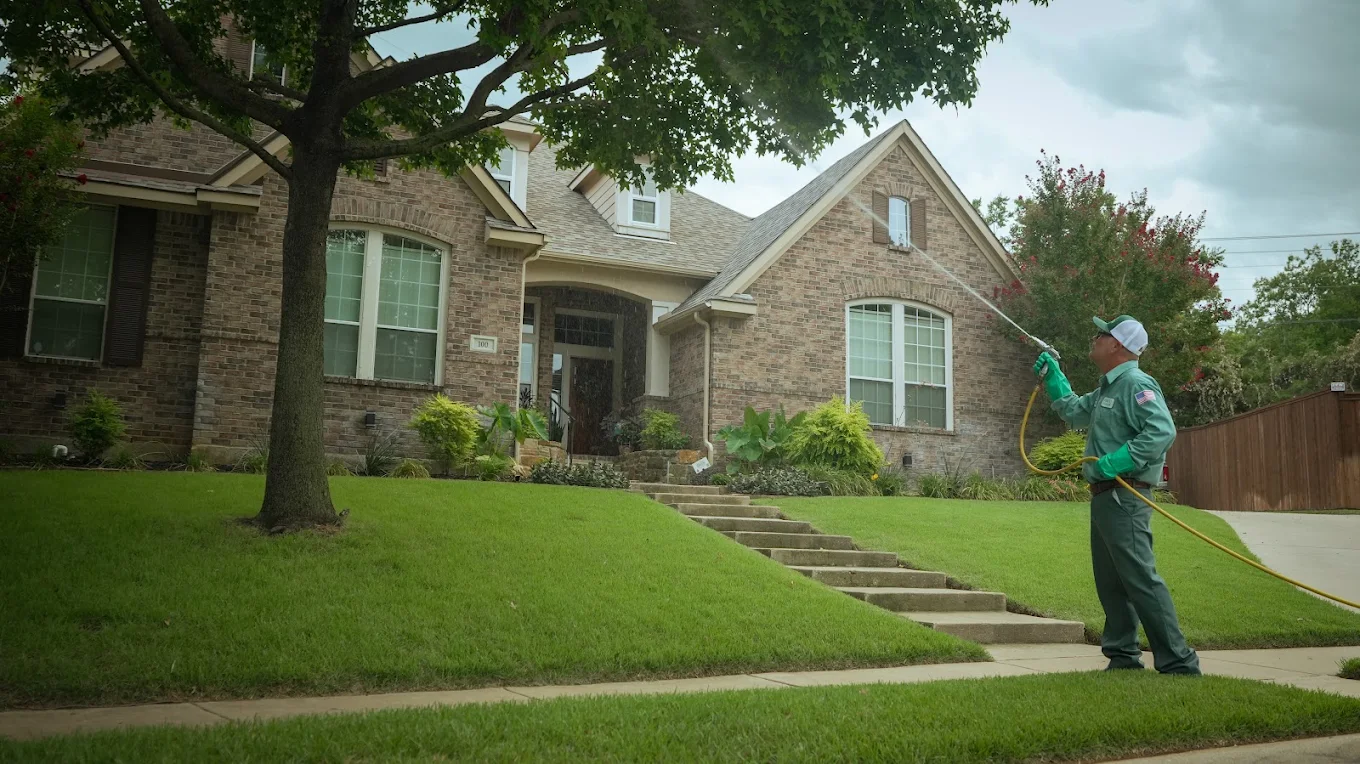 Gecko Green Lawn Care