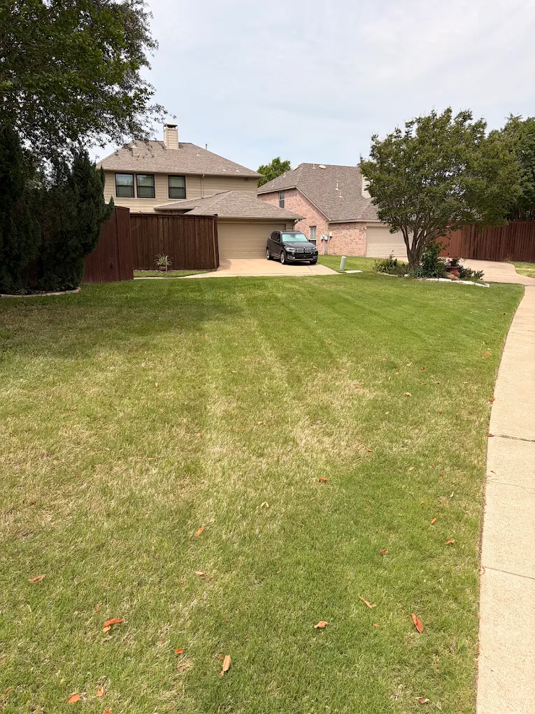 Texas Evergreen Lawn Care LLC