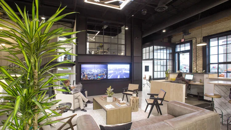 Root Architects