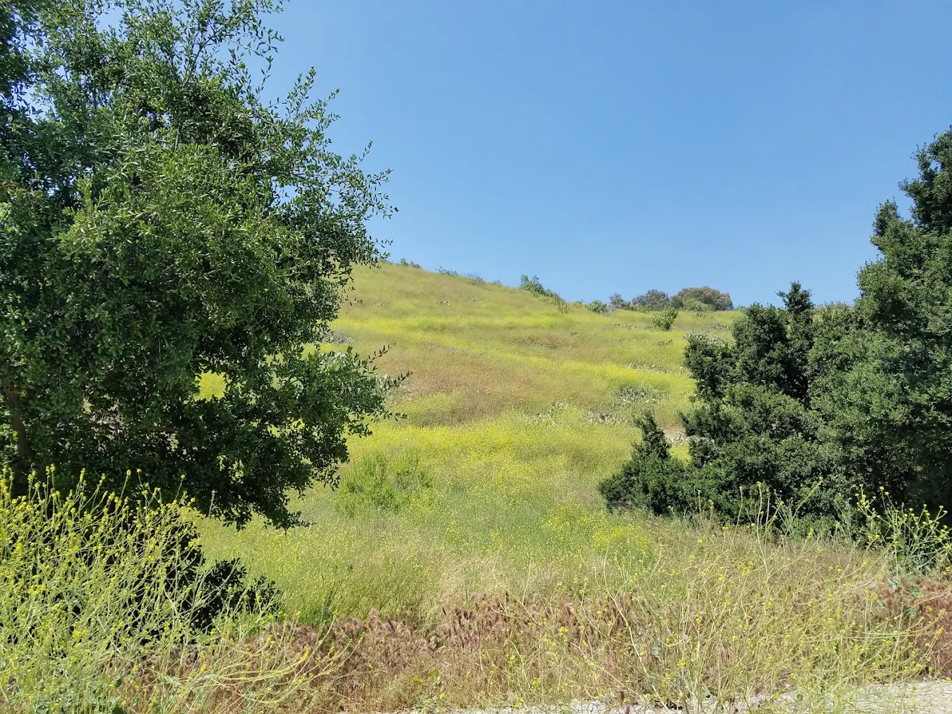 Frank G. Bonelli Regional Park