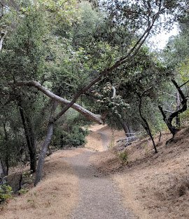 Walnut Creek Community Regional Park