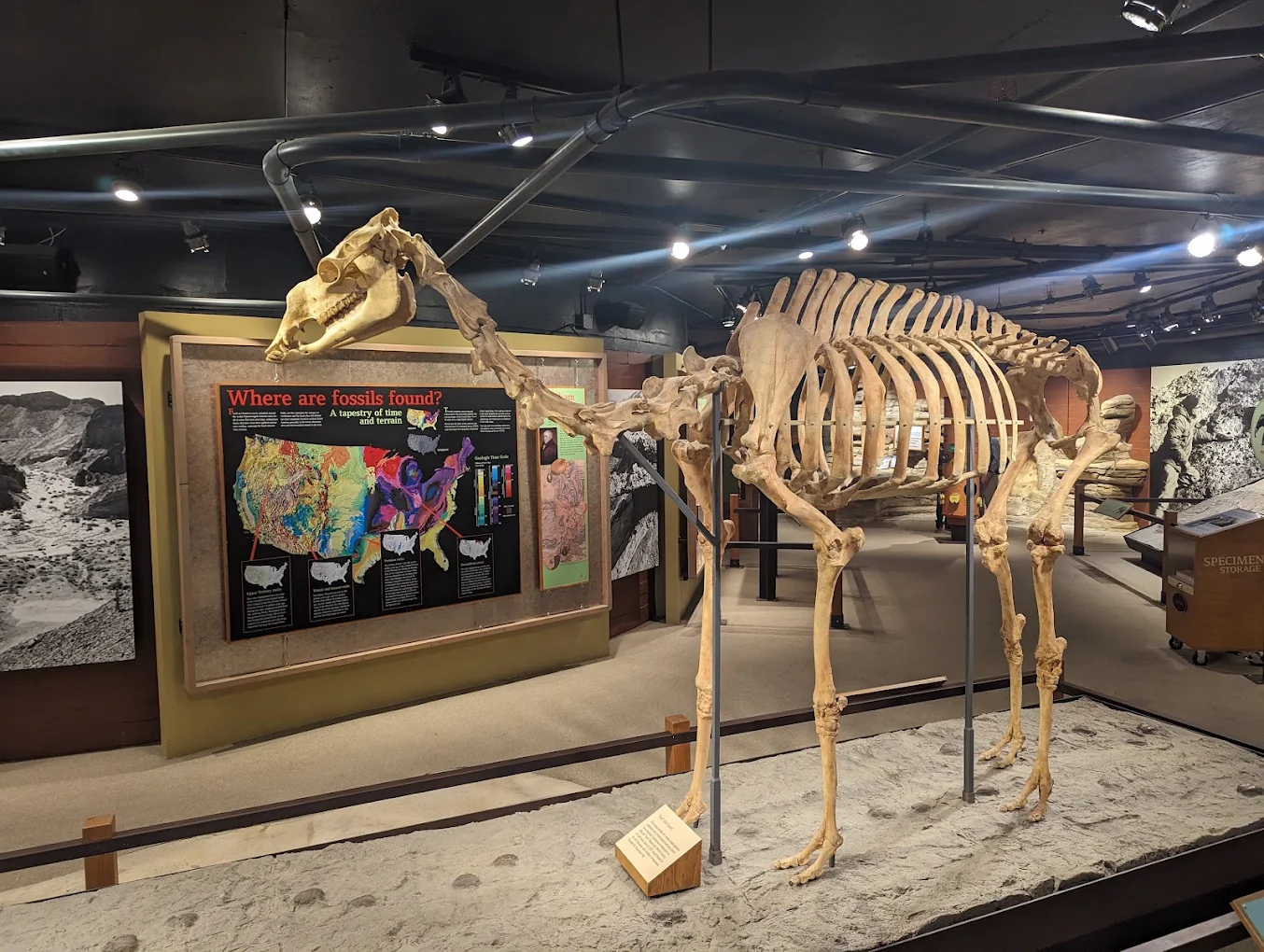 Raymond M. Alf Museum of Paleontology
