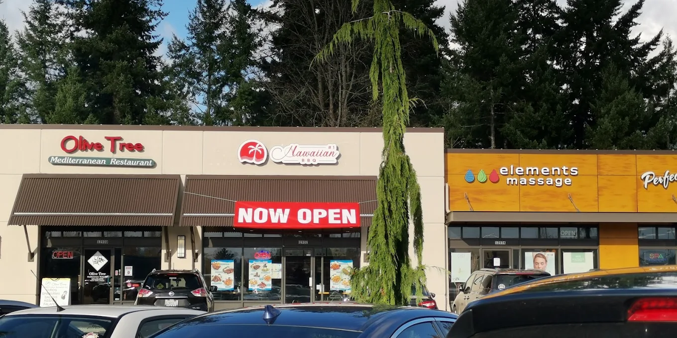 #1 Hawaiian BBQ