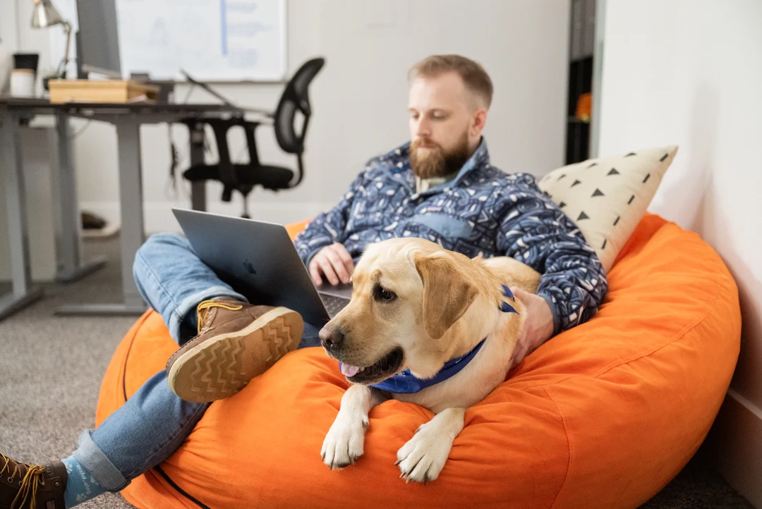 Odd Dog Media