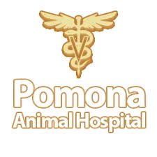 Pomona Animal Hospital