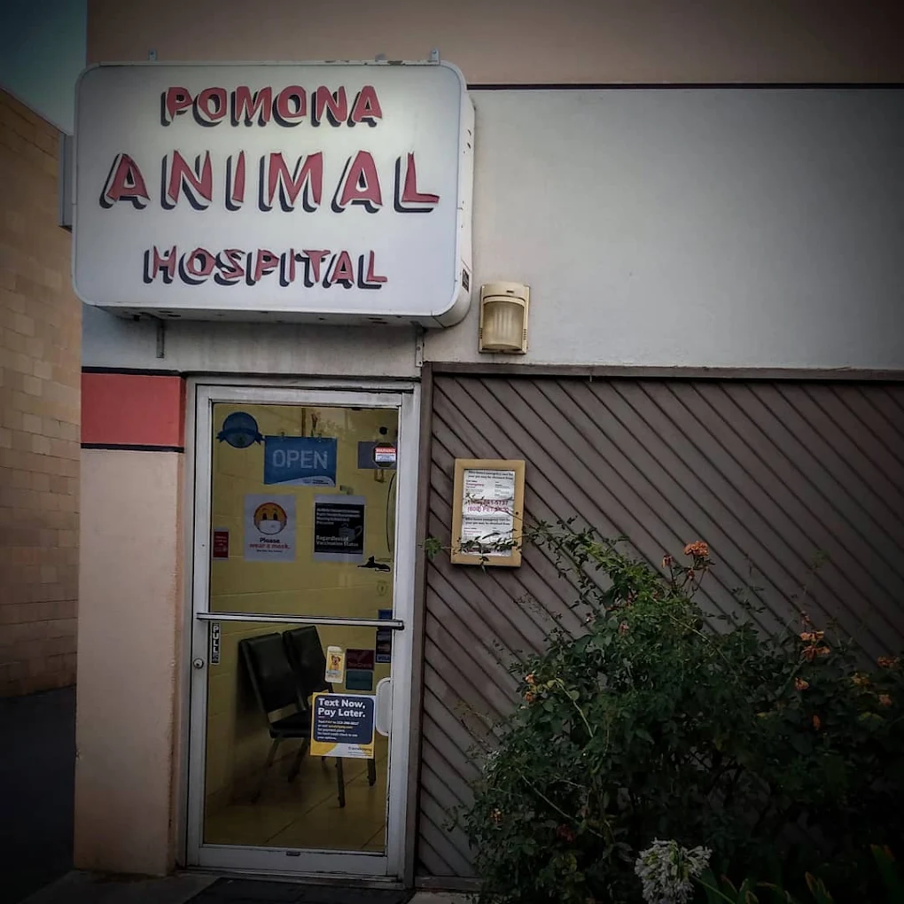 Pomona Animal Hospital