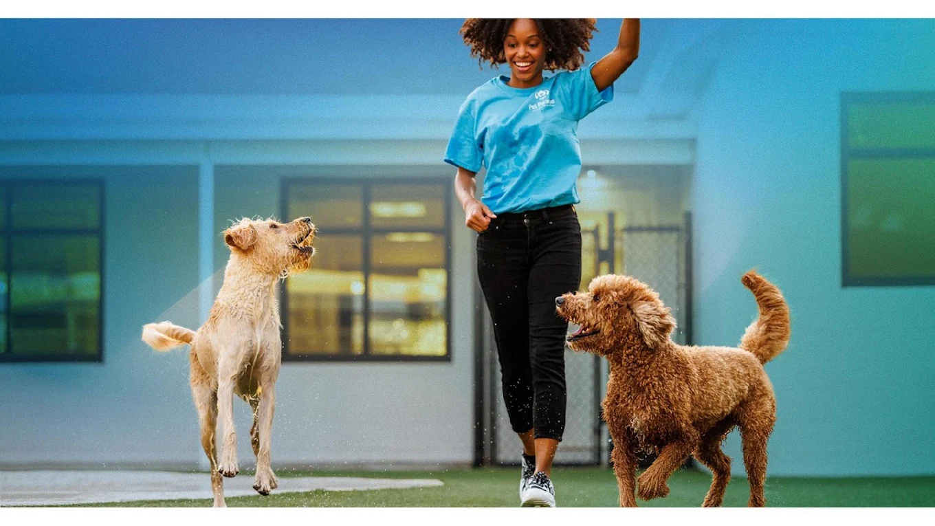 Pet Paradise