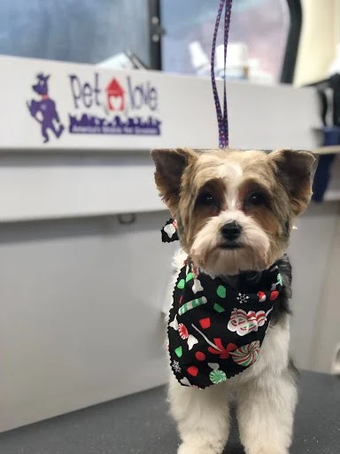 Pet Love Mobile Grooming