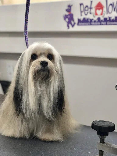 Pet Love Mobile Grooming