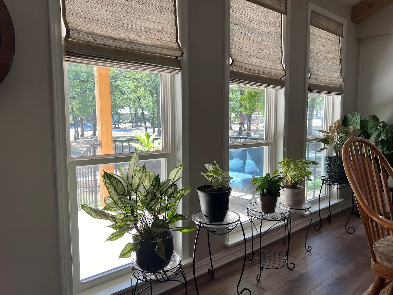 Energy One Windows