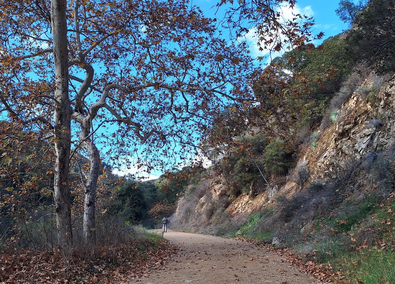 Claremont Hills Wilderness Park