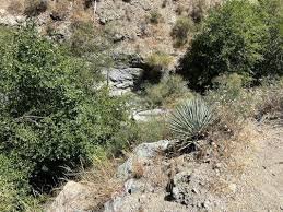 Joatngna Trailhead