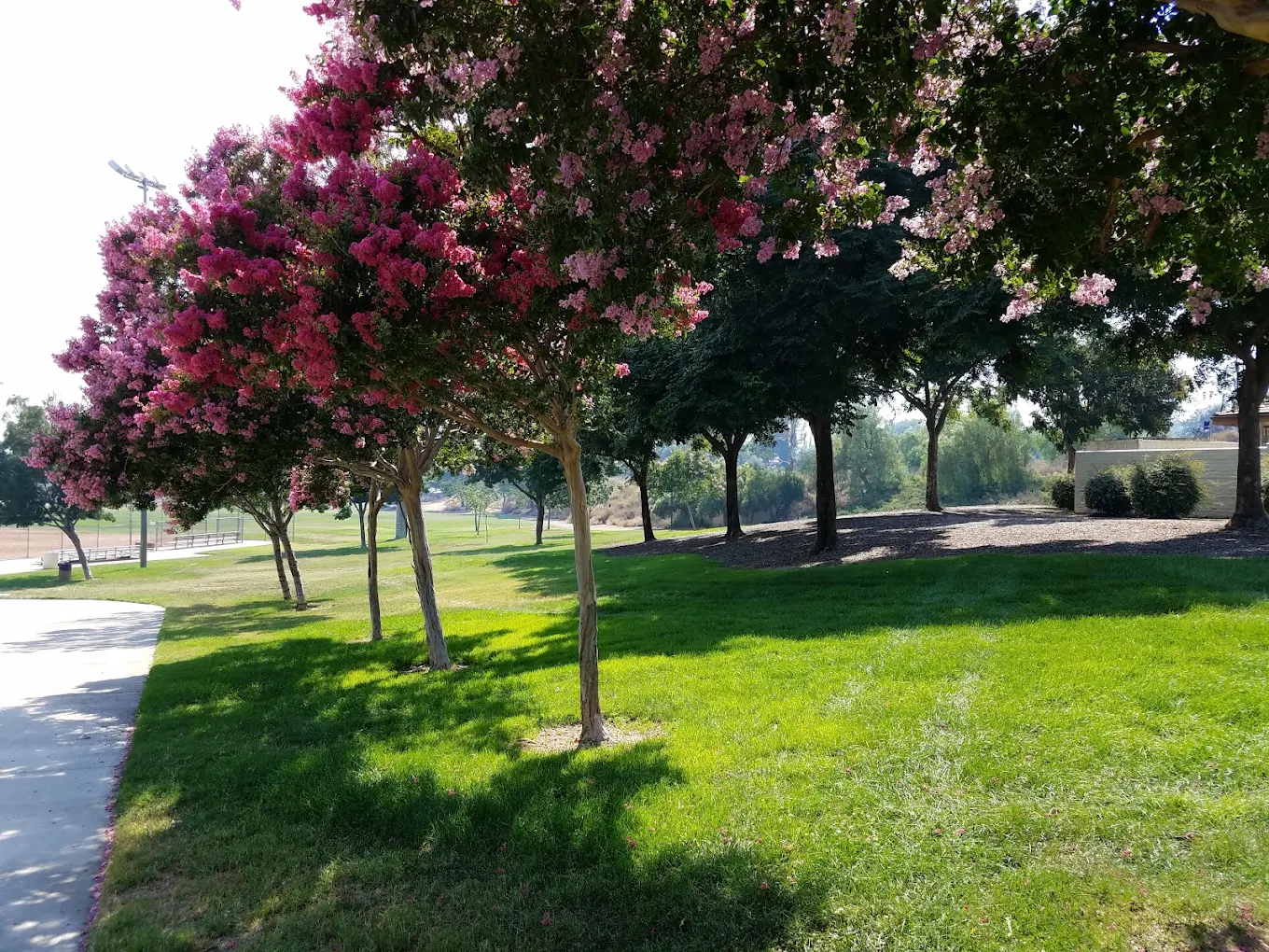 Heritage Community Park