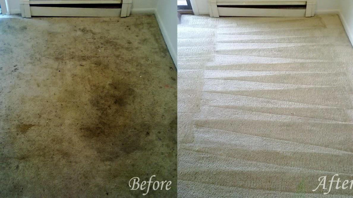 Clean Touch Carpet Services
