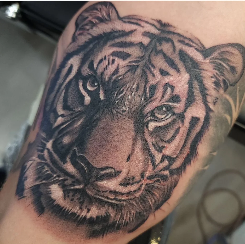 Mint Condition Tattoo & Body Piercing