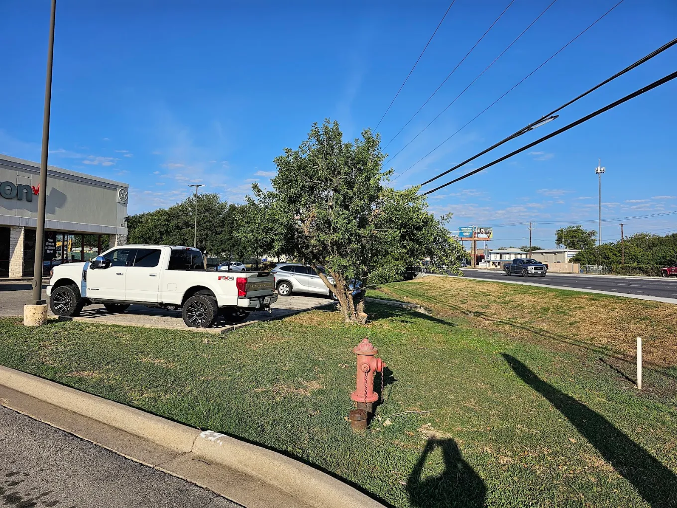 The Lawn Dude.LLC