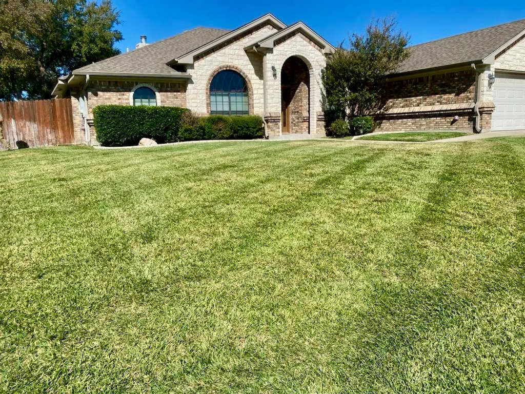 The Lawn Dude.LLC