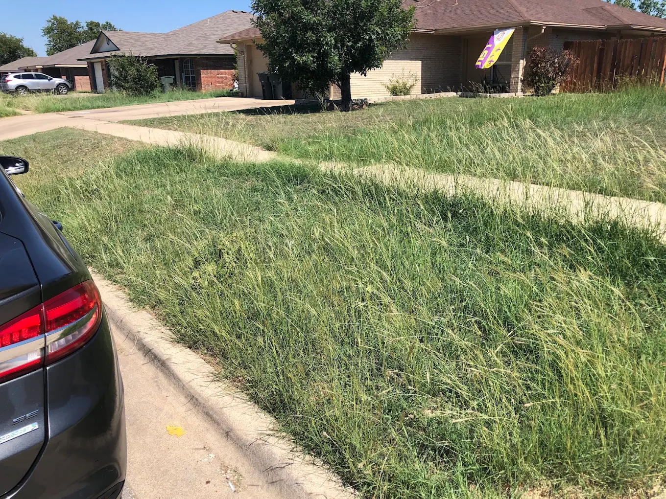 A+ Lawn Service