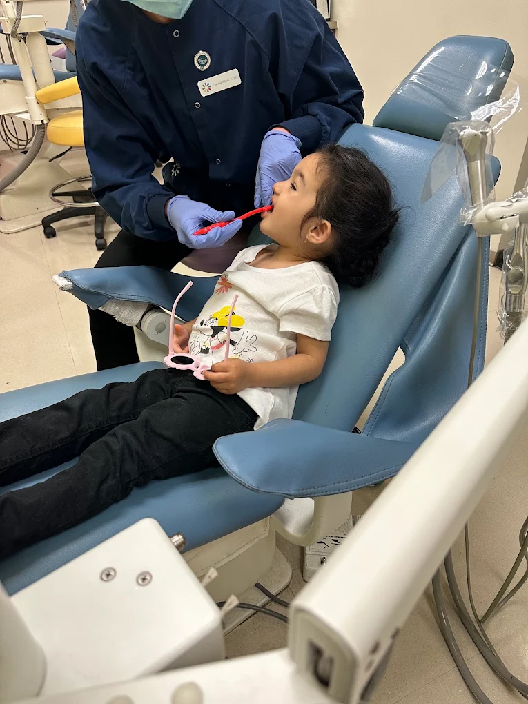 My Kid's Dentist