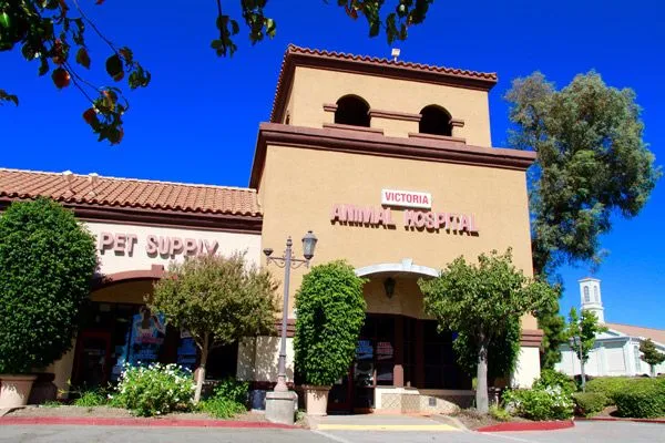 Victoria Animal Hospital