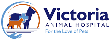 Victoria Animal Hospital